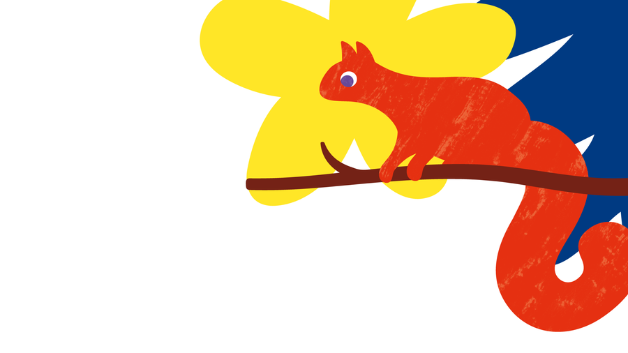 Scouts squirrels illustrations 3
