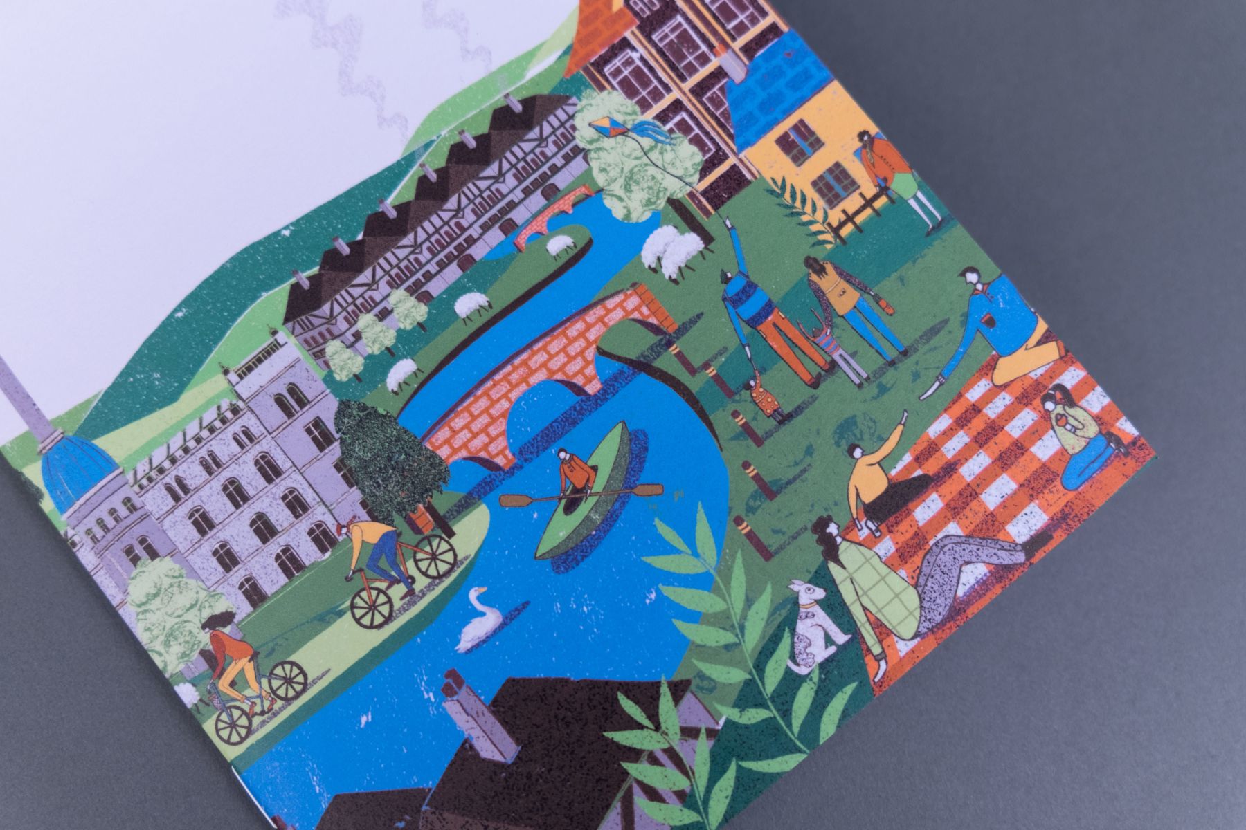 Branding Scheme Client Wise Investment Supple Studio