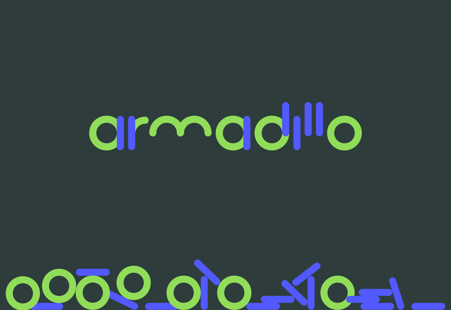 Armadillo2