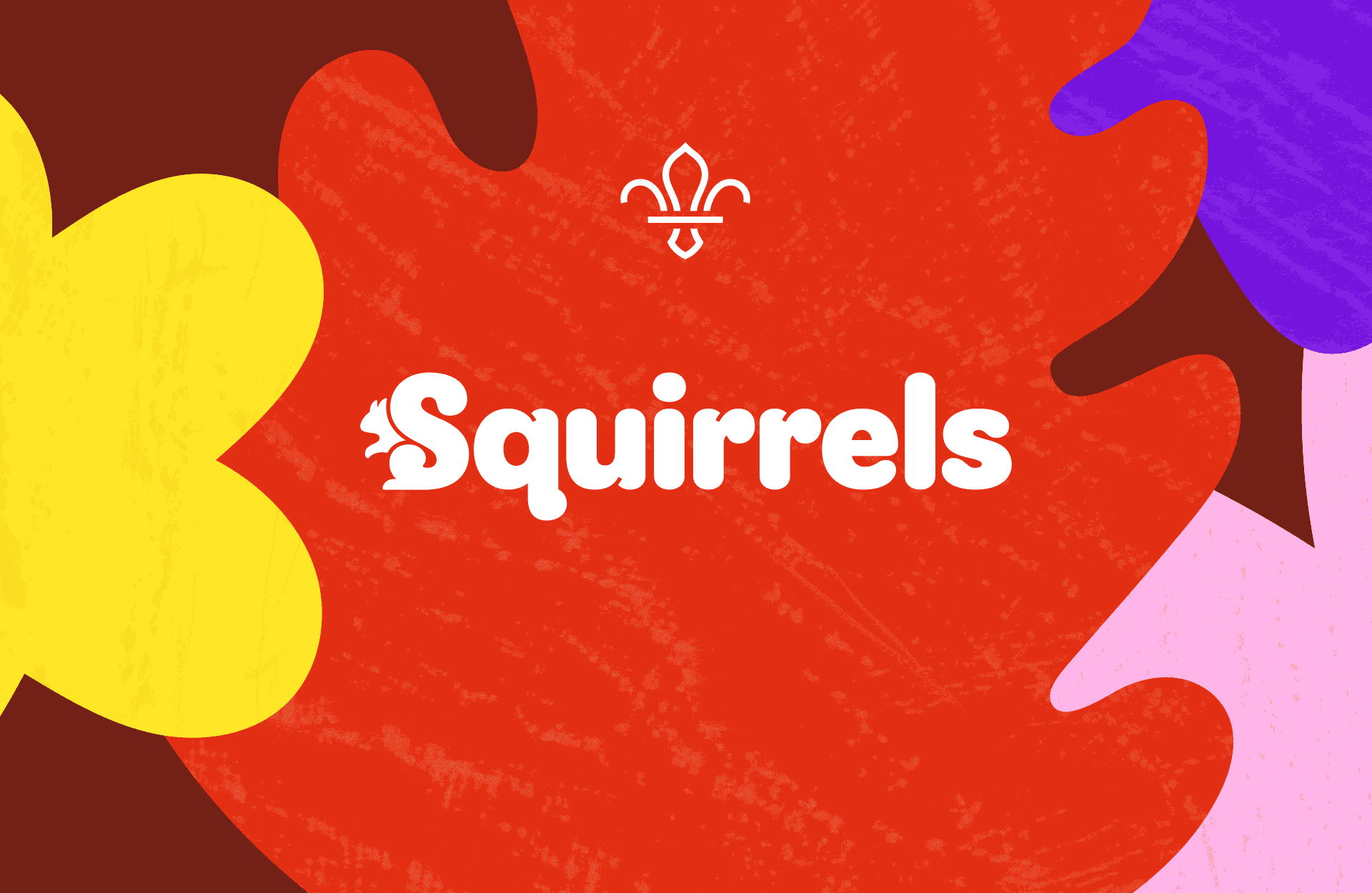 Squirrels brand identity